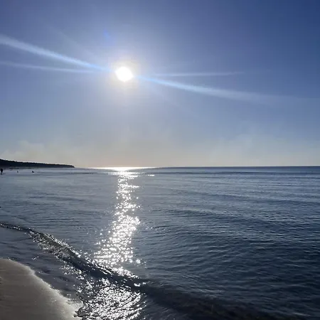Golden Sun *